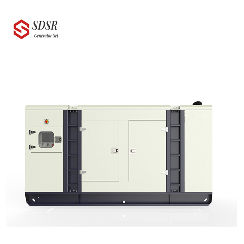 Shandong Shengrui Power Technology Co., Ltd.